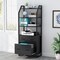 Tribesigns 2 Drawer File Cabinet with Bookshelf Modern Vertical Filing Cabinet